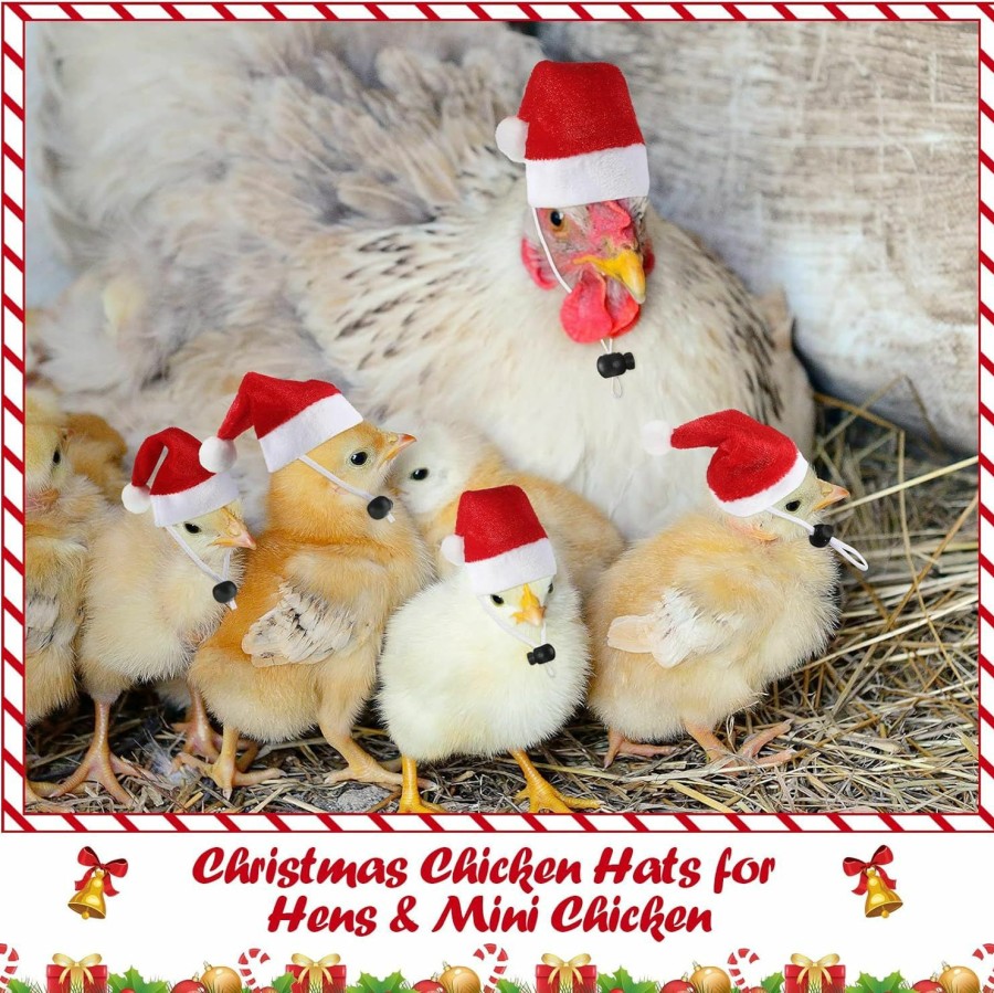 Small Animal Chunful | 12 Pcs Chicken Christmas Hats For Hens Mini Chicken Santa Claus Hat With Adjustable Chin Strap Small Animals Santa Hat For Hens Chicken Rooster Goose Duck Parrot Christmas Holiday