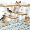 Small Animal lenpestia | 5Pcs Pet Standing Platform For Dwarf Hamster Squirrel Gerbil Chinchilla, Natural Wooden Parrot Birds Standing Board Guinea Pig Sugar Glider Activity Playground Chinchilla Cage Accessories