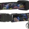 Small Animal Buckle-Down | Buckle-Down Breakaway Cat Collar - Dory 4-Hiding Poses Under The Sea - 1/2\" Wide - Fits 6-9\" Neck - Small