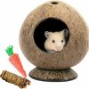 Small Animal zonzxcv | Coconut Hamster Hideout Hamster House Gerbil Cage For Small Animals With A Bundle Of Apple Sticks A Carrot