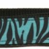 Small Animal Yellow Dog Design | Yellow Dog Design Zebra Teal On Black Grosgrain Ribbon Collar-Size Medium-3/4 Wide And Fits Neck 14 To 20\"