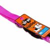 Small Animal GoGo Pet Products | Gogo Pet Products Comfy Nylon 3/8-Inch Adjustable Pet Collar, X-Small, Pink