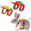 Small Animal Tezuyok | 2 Pack Cute Adjustable Rabbit Harness And Leash, Carrot Strawberry Bunny Harness Leash Set Harness Leash For Rabbit, Kitten, And Small Pet Animals