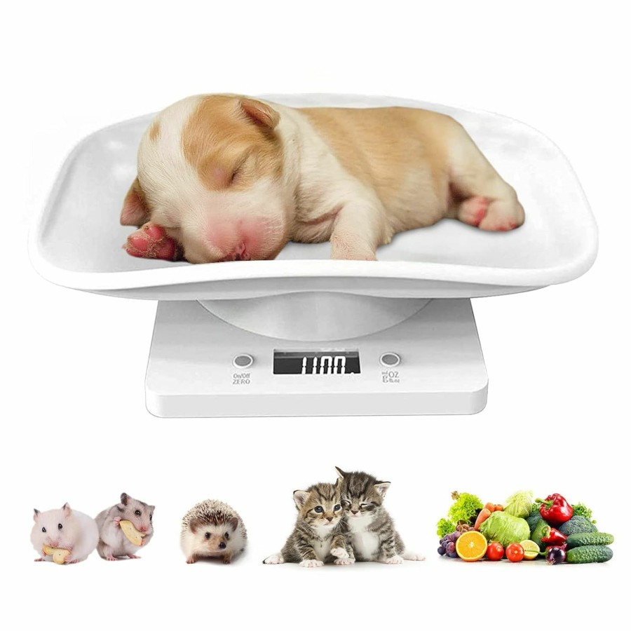 Small Animal DWSFADA | Reptiles Weight Scale,Small Animal Scale With Precision Grams,Multi-Function Led Display Pet Weight Scale(Max. 33 Lbs),For Weighing Puppy/Kitten/Ferret/Guinea Pig/Tortoises/Food