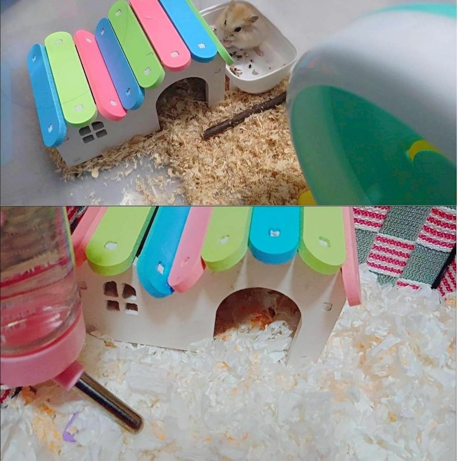 Small Animal Hamiledyi | Hamster Platform With Ladder,Wooden House Hut Hideout Swing Rat Playground Activity Set With Climbing Ladders Play Toys For Mouse,Gerbil, Small Animals