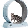 Small Animal Qoility | Qoility Cat Exercise Wheel - Easy Install Indoor Fitness For Most Cats - Blue