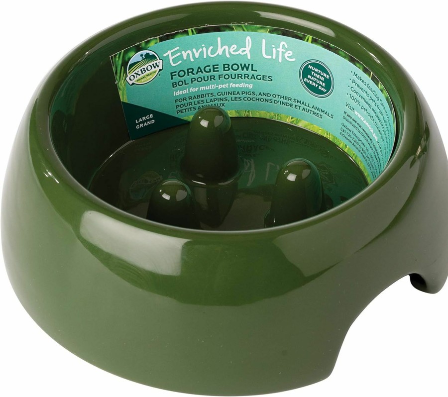 Small Animal Oxbow | Oxbow Enriched Life Forage Bowl, Large