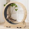 Small Animal EXQ Home | Exq Home Cat Exercise Wheel For Indoor Cats, Diameter 39.4\" Running Wheel With Locking Mechanism, Sturdy Noiseless Treadmill Roller With Carpeted Runway, Loss Weight Device Sports Equipment For Pets