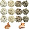 Small Animal REDANHA | Redanha 12 Pcs Small Animal Chew Ball Toy Pet Chew Ball Toy Hamster Balls Pet Teething Balls Pet Bite Play Ball Guinea Pig Chew Ball…