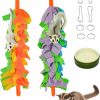 Small Animal Generic | Fabmode 2 Packs Small Pet Toys, Sugar Glider Cage Accessories, Climbing Toys Swing Toys, Suitable For Ferret Birds Parrots Hamster Squirrel Chinchilla Guinea Pigs (With One Water Bowl)