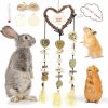 Small Animal DAMPET | Dampet Bunny Chew Toys, Bunny Teeth Grinding Chew Toys, Rabbit Cage Hanging Chew Toys, All Natural Materials For Guinea Pigs, Hamsters, Rabbits And Rats