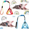 Small Animal Frienda | Frienda 2 Pieces Adjustable Mini Pig Harness Leash Mini Pig Walking Harness And Leash For Hog Piggy Ferret Rabbit Dog Cat And Other Small Animals Walking Training Jogging