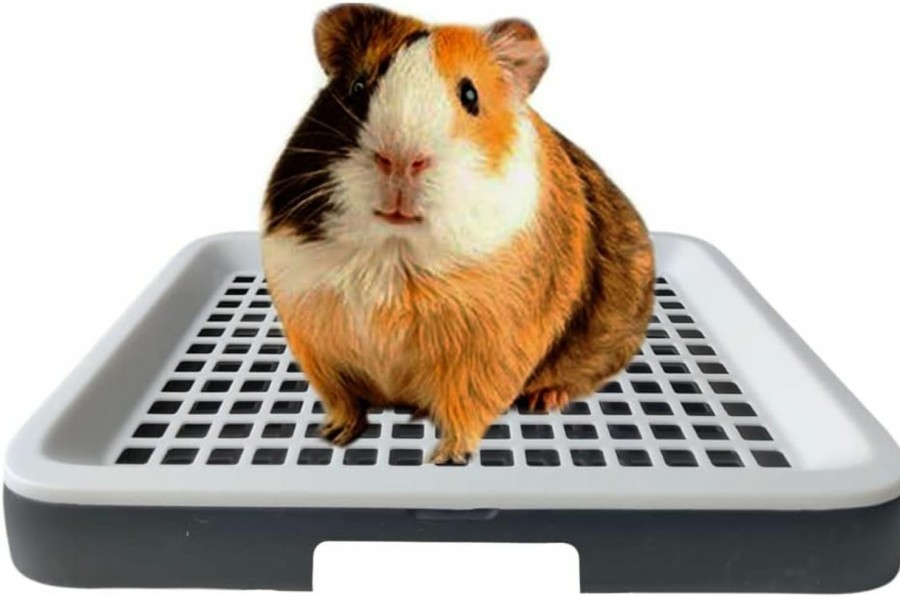 Small Animal Oncpcare | Guinea Pig Litter Tray Pan With Grate, Rat Litter Box For Cage, Restroom Toilet Corner Potty Poop Trainer For Critters, Chinchilla Cage Accessories