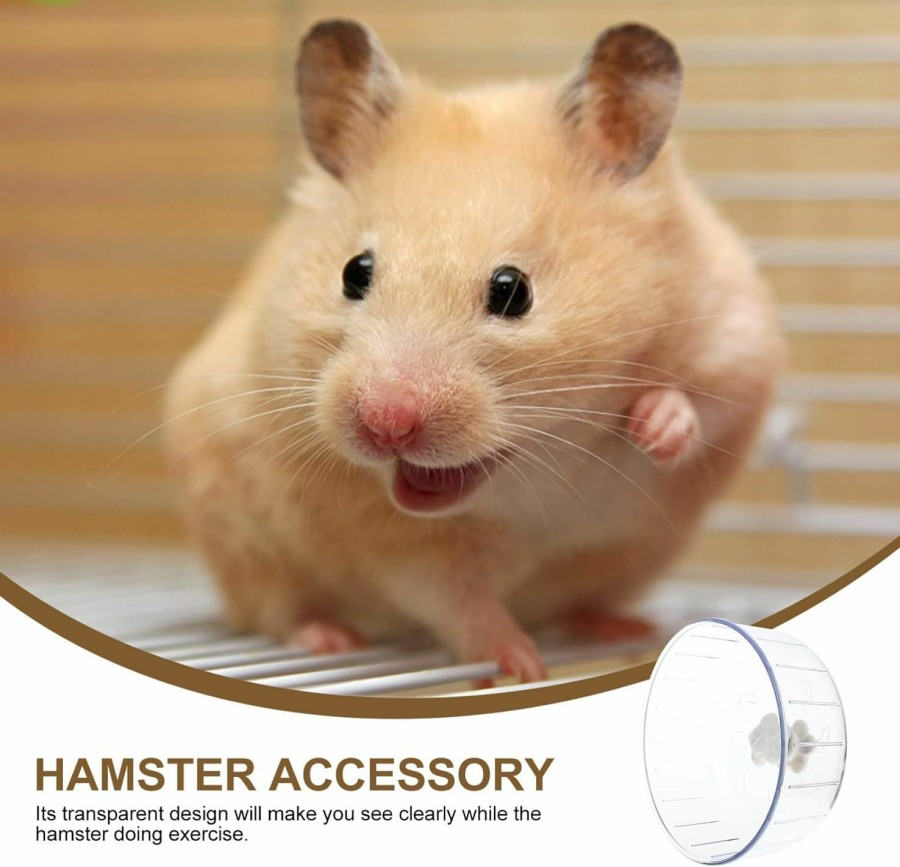 Small Animal POPETPOP | Popetpop Exercise Wheel For Small Animals, Hamster, Rat, Squirrel, Hedgehog, Chinchilla, 17 X 17 X 7Cm