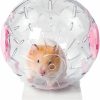 Small Animal CHUQIANTONG | Hamster Ball Clear Plastic Sport Ball For Hamster Running Exercise Ball With Stand Small Pet Rodent Guinea Pig Mice Gerbil Jogging Ball Toy (16Cm/6.3Inch, Blue)