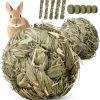 Small Animal IOOTSEA | Natural Timothy Grass Chew Toys For Small Animals - Perfect For Rabbits, Guinea Pigs, Hamsters, Chinchillas, Rats And Gerbils - 12-Piece Set Handmade Play Balls For Teeth And Enrichment Treats