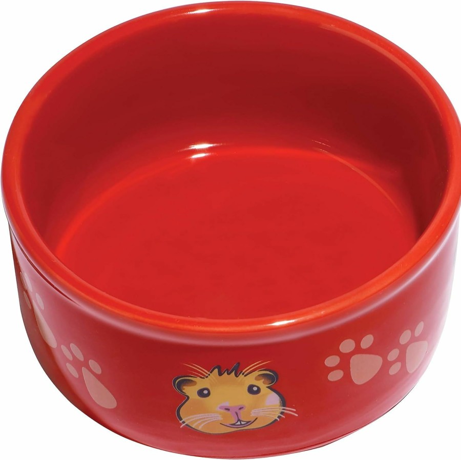 Small Animal Kaytee | Kaytee Paw-Print Petware Bowl Guinea Pig