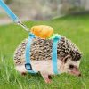 Small Animal Dnoifne | Hedgehog Harness And Leash, Adjustable Hedgehog Training Anti-Bite Harness, Hedgehog Nylon Rope With Cute Radish, Outdoor Play Toy For Hedgehog Guinea Pig