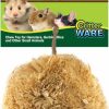 Small Animal Ware Manufacturing | Ware Manufacturing Natural Corn Leaf Ball Toy For Small Pets, Small