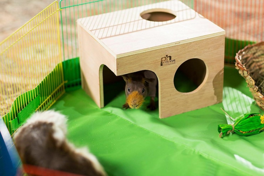 Small Animal Prevue Pet Products | Prevue Pet Products Wood Mouse Hut 1120