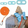 Small Animal HAICHEN TEC | Bearded Dragon Leash And Harness - Adjustable 3 Size Pack Leather Butterfly Wings Harness Set, Lizard Costume Clothes Outdoor Walking Lead Control Rope For Iguana Gecko Chameleon Hamster Ferret (Blue)