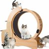 Small Animal CuisinSmart | Cat Exercise Wheel Indoor, Cat Sports Running Wheel With Scratching Board Wood Cat Treadmill For Cats Daily Exercise-Natural Wood