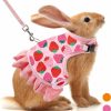 Small Animal ALUZAEMO | Rabbit Harness And Leash For Walking Escape Proof - Cute Carrot Pattern Mesh Breathable Bunny Vest Harness Outdoor Camping Hiking Training - Also Suit For Ferret Kitten Puppy Small Animals