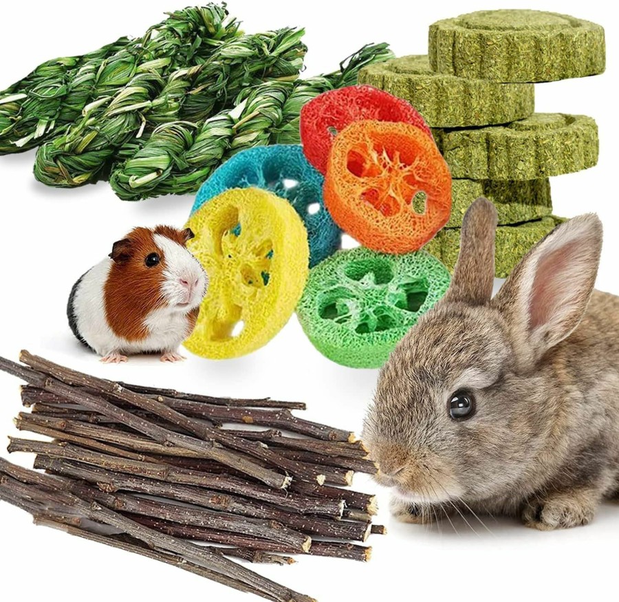 Small Animal Dbeans Flourithing | Dbeans Flourithing Guinea Pigs Toys, Natural Wooden Rabbit Toys, Bunny Toys For Exercise Molar Teeth Care, Best Choose For Gerbils, Rats, Birds, And Other Small Pets