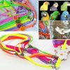 Small Animal Hypeety | Hypeety Beauty Parrot Adjustable Bird Harness And Leash Anti-Bite For Bird Parrot African Grey Cockatoo Macaw Ringneck For Medium Size Bird (1Pcs Random Color)