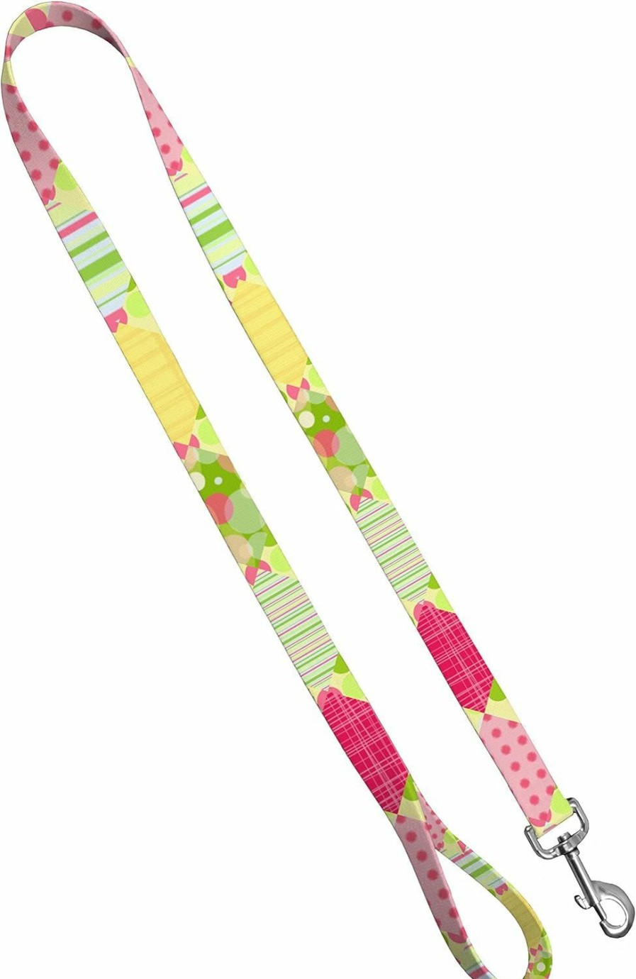 Small Animal Strapworks | Moose Pet Wear Deluxe Dog Leash - Patterned Heavy Duty Pet Leashes, Made In The Usa - 1 Inch X 6 Feet, Girly Picnic