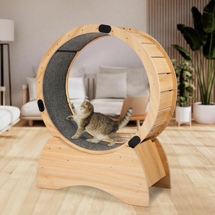 Small Animal Fulvari | Cat Exercise Wheel, Cat Treadmill With Carpeted Runway, Running, Spinning, And Scratching Fun, Cat Running Wheel For Physical Activity And Reducing Boredom