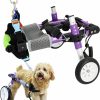 Small Animal HobeyHove | Hobeyhove Adjustable Dog Wheelchair For Back Legs,Pet/Doggie Doggy Wheelchairs With Disabled Hind Legs Walking (S-B)