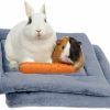 Small Animal REEZEIVI | Reezeivi 2 Pack Of Plush Guinea Pig Bed Pillow,Washable Soft Small Animal Bed Mattres,Breathable Air Mesh Rabbit Hamsters Bed, Easy Clean And Quickly Dry Small Animal Guinea Pig Beding