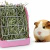 Small Animal Wontee | Wontee Rabbit Hay Feeder Guinea Pig Hay Rack Manger Bunny Hay Holder Plastic Food Bowl (Pink)