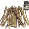 Small Animal ECOVENIK | Ecovenik Apple Sticks 120 Gram Rabbit & Hamster Chew Toys - 100% Natural & Organic Chinchilla Food, Treats For Guinea Pig, Squirrels, Parrots & Other Small Animals (Made In Ukraine)