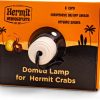 Small Animal Fluker's | Fluker'S Domed Lamp For Hermit Crab Enclosures, 5.5-Inch, 1 Count (Pack Of 1)