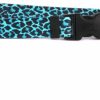 Small Animal Yellow Dog Design | Yellow Dog Design Leopard Teal Dog Collar 3/4\" Wide And Fits Neck 10 To 14\", Small