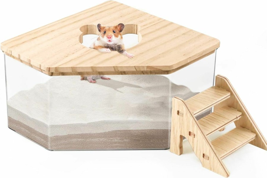 Small Animal Quxddy | Quxddy Hamster Sand Bath Box Container, Hamster Bath Sand Gerbil Sand Bath Hamster Dust Bath, Hamster Litter Box Chinchilla Dust Bath Hamster Accessories(Pentagon+Ladder) (Pentagon+Ladder)