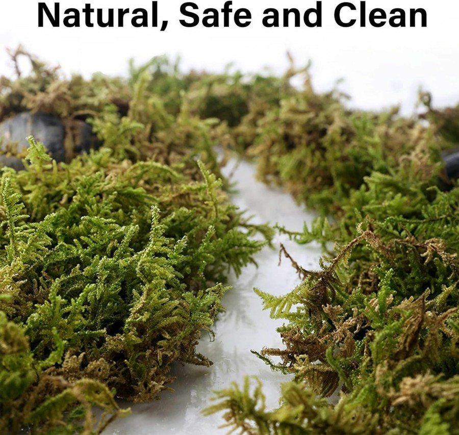 Small Animal DR.DUDU | Dr.Dudu 5L Forest Moss For Hamster Bedding Nesting, Syrian Gerbils Hamster Cages Accessories, Perfect For Small Animals Terrarium Moss