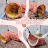 Small Animal EAEDMY | Rat Ferret Hammock Toys Cage Accessories, Guinea Pig Hideout Tunnel, Warm Bed For Rat Ferret Guinea Pig Sleep Hide And Play (1.Hammock+Corner Tunnel)