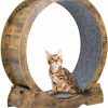 Small Animal ARADNEO | Aradneo Cat Exercise Wheel,Cat Running Wheel ,Large Cat Wheel Exercise For Indoor Cats ,Cheap Cat Wheel,Cat Treadmill Wheel With Locking Mechanism (Rustic, 35.4")