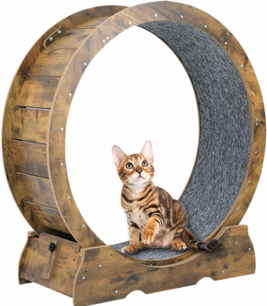 Small Animal ARADNEO | Aradneo Cat Exercise Wheel,Cat Running Wheel ,Large Cat Wheel Exercise For Indoor Cats ,Cheap Cat Wheel,Cat Treadmill Wheel With Locking Mechanism (Rustic, 35.4")