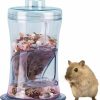 Small Animal Hamiledyi | Hamster Feeder Small Pet Automatic Food Dispenser Transparent Standing Feeding Plastic Container For Gerbil Suger Glider Mini Hedgehog Hamster (Blue)