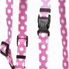 Small Animal Yellow Dog Design | Yellow Dog Design Watermelon Polka Dot Roman Style H Dog Harness-Large-1\" And Fits Chest 20 To 28\"