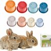 Small Animal Mooydee | Mooydee 8 Pcs Stacking Cups For Rabbits Guinea Pig Reusable Multi-Colored Bunny Toys Rabbit Toys Of Different Sizes, Safe Plastic Nesting Toys For Bunny Small Animals Hiding Food And Playing