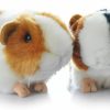 Small Animal Backlood Toys | 2Pcs 8 Inch Cute Guinea Pig Plush Toys Guinea Pig Stuffed Toys Guinea Pig Doll Toys