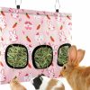 Small Animal Bissap | Bissap Rabbit Hay Feeder Bag, 2 Holes Hanging Hay Feeder Guinea Pig Hay Bag For Rabbits Bunny Chinchillas Hamsters Rats And Other Small Pets Small Animal - S (Pink)