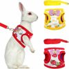 Small Animal Preferhouse | Preferhouse 2 Pieces Vest Harness For Rabbit Hamster Guinea Pig, Small Animals Leash Set Adjustable Bunny Harness For Out Walking, Snow-S