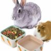 Small Animal JanYoo | Janyoo Hamster Food Bowl Guinea Pig Feeder Ceramic For Cage With Water Supplies And Accessories For Bunny Blue Pink (2 Pack)