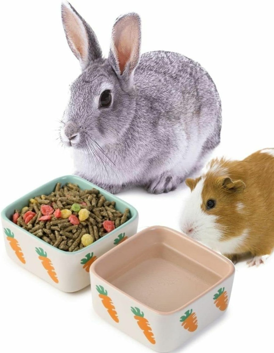 Small Animal JanYoo | Janyoo Hamster Food Bowl Guinea Pig Feeder Ceramic For Cage With Water Supplies And Accessories For Bunny Blue Pink (2 Pack)